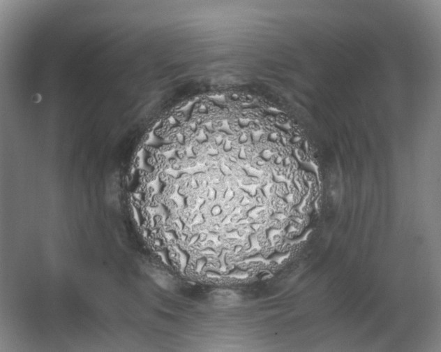 X0000062930519200601271835