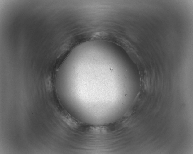 X0000062930520200601271835