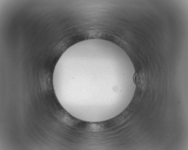 X0000062930522200601271835