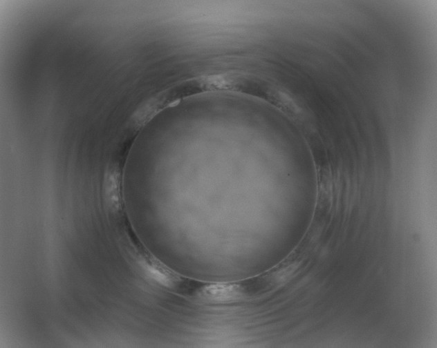 X0000062930526200601271835