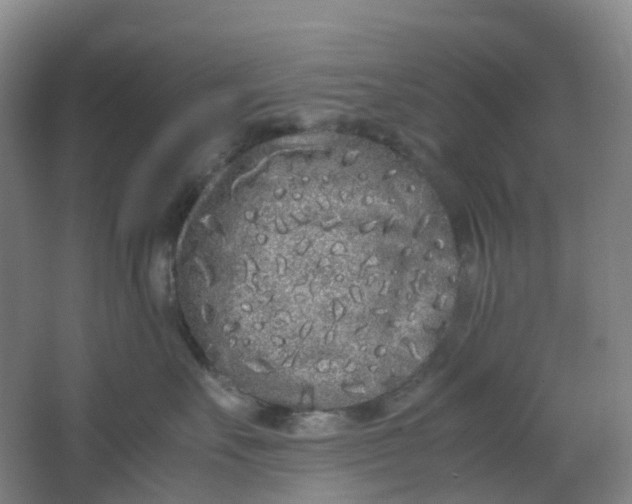 X0000062930527200601271835