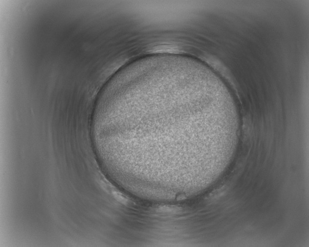 X0000062930529200601271834