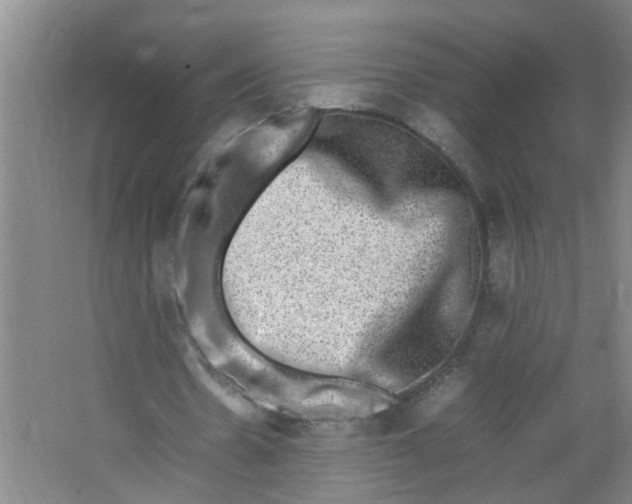 X0000062930530200601271834