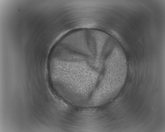 X0000062930532200601271834