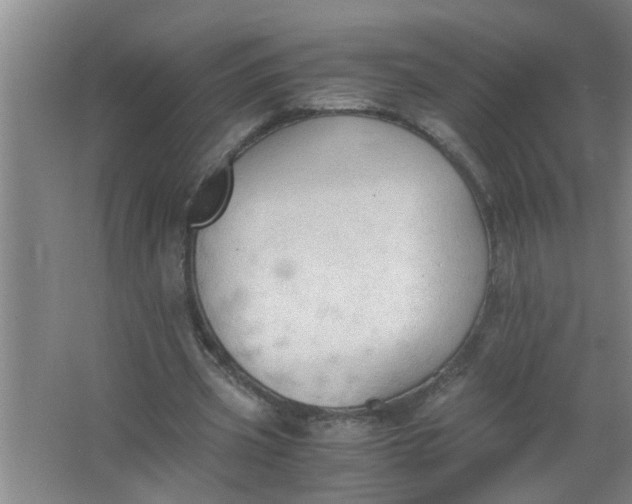 X0000062930533200601271834