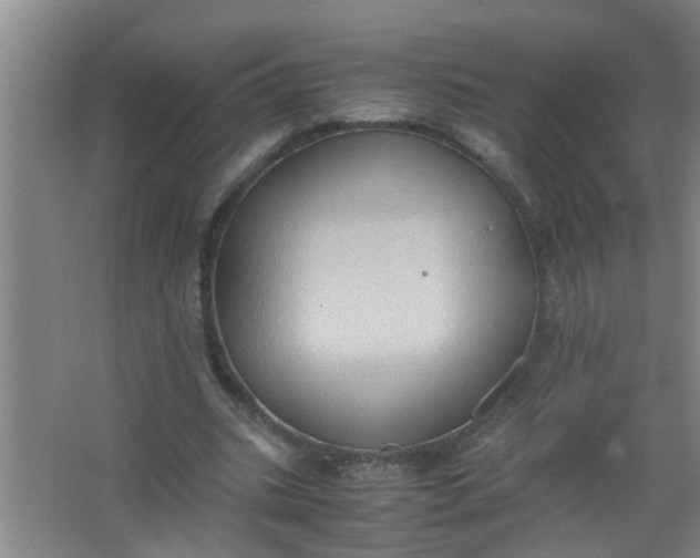 X0000062930535200601271834