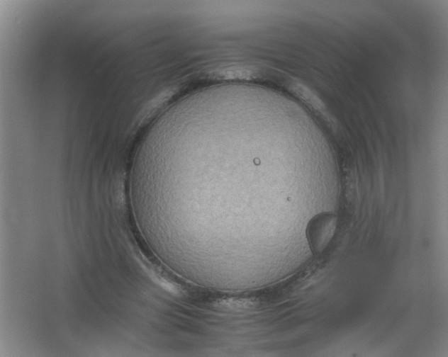 X0000062930537200601271834