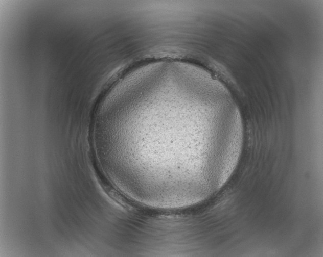 X0000062930538200601271834