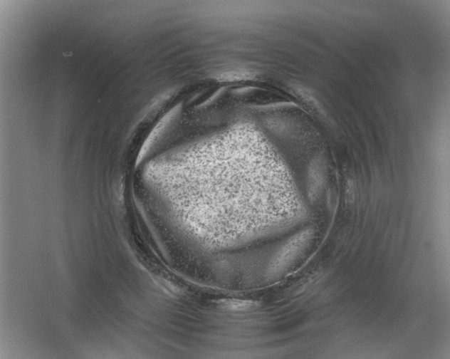 X0000062930539200601271834