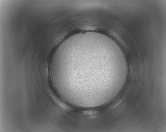 X0000062930541200601271834