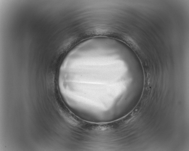 X0000062930542200601271834