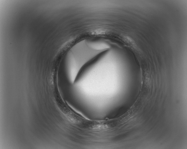 X0000062930543200601271834