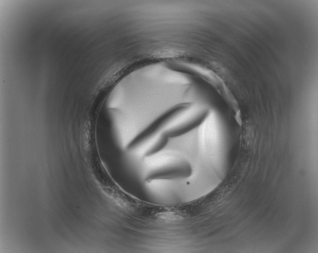 X0000062930544200601271834