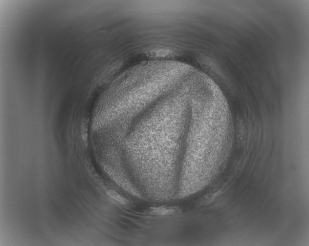 X0000062930545200601271834