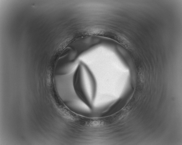 X0000062930546200601271834