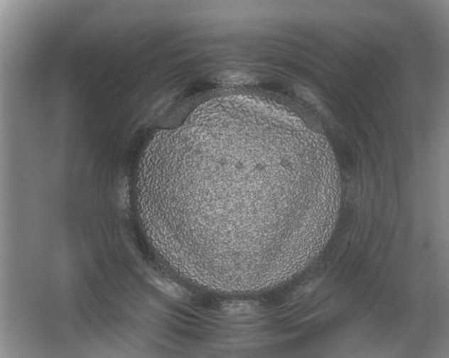 X0000062930549200601271835