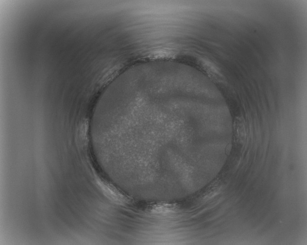 X0000062930550200601271835