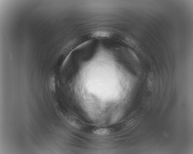 X0000062930551200601271835