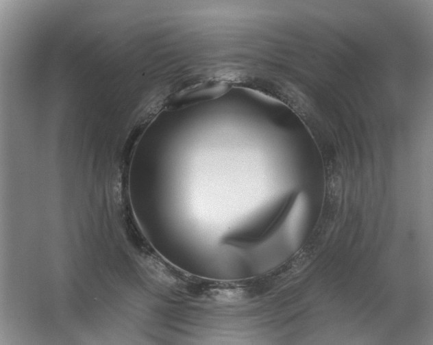 X0000062930552200601271835