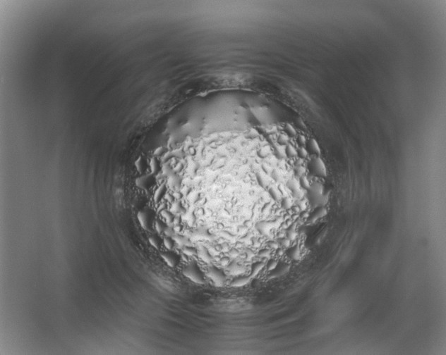 X0000062930553200601271835