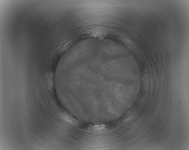 X0000062930554200601271835