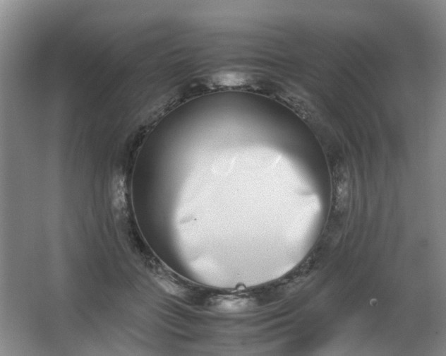 X0000062930555200601271835