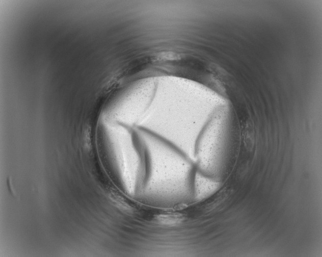 X0000062930556200601271835