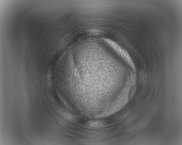 X0000062930557200601271835