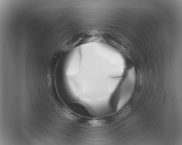 X0000062930558200601271835