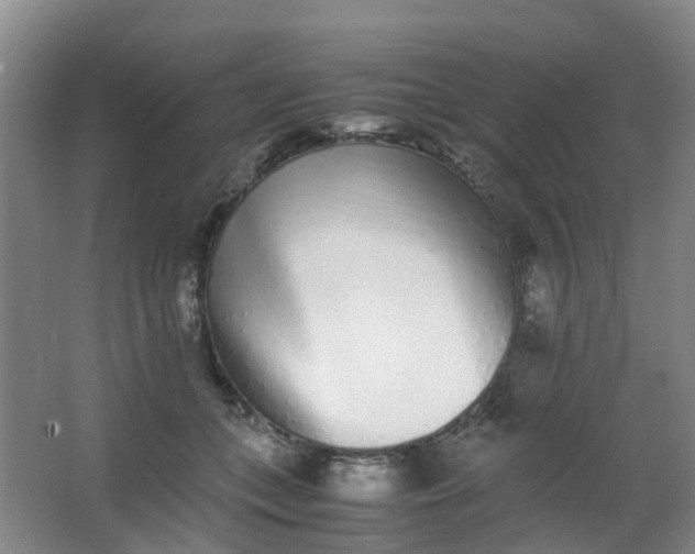 X0000062930559200601271835