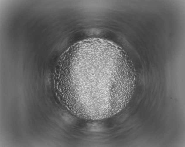 X0000062930561200601271835