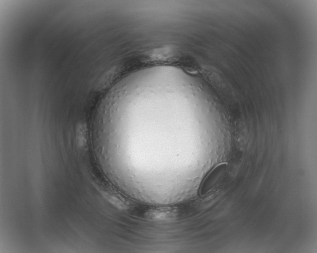 X0000062930563200601271835