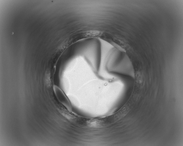 X0000062930564200601271835