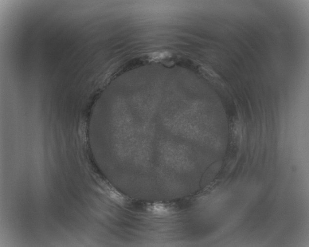 X0000062930565200601271835