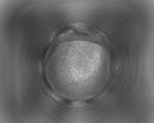 X0000062930568200601271835