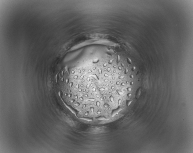 X0000062930569200601271835