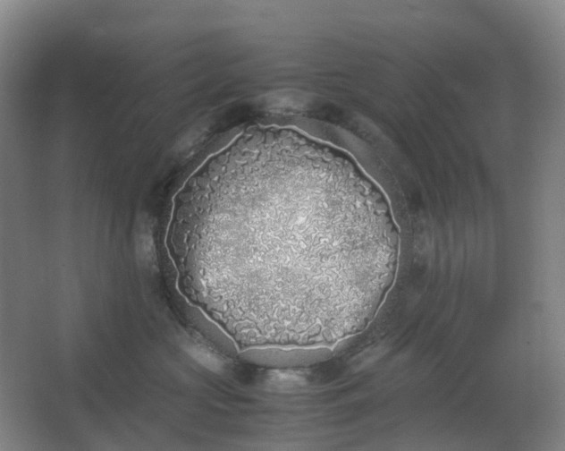 X0000062930573200601271835