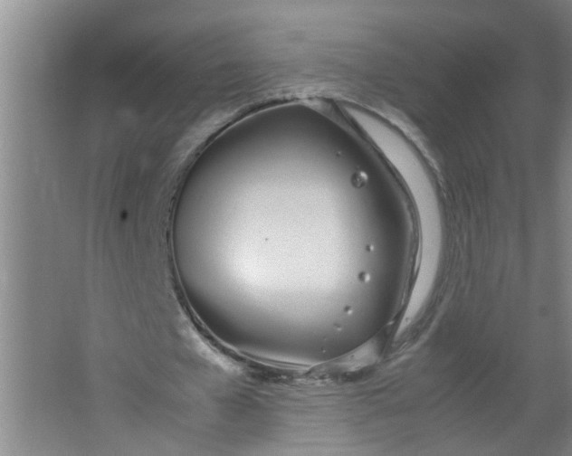 X0000062930577200601271834