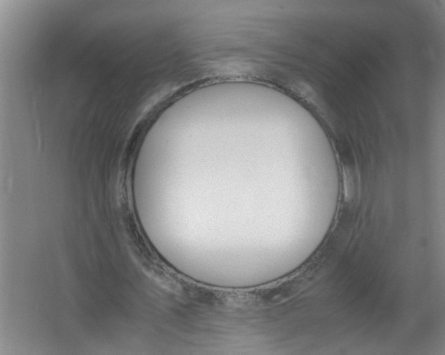 X0000062930579200601271834