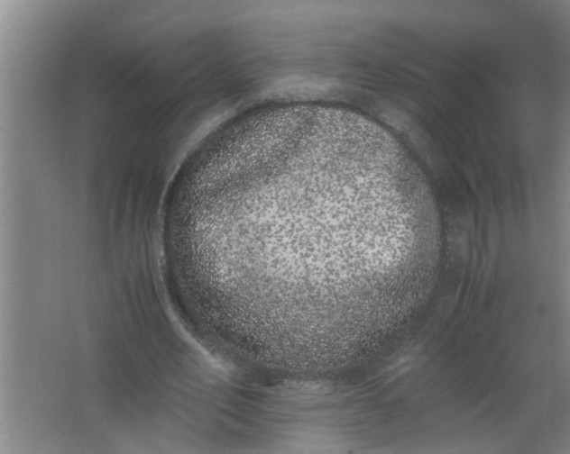 X0000062930582200601271834