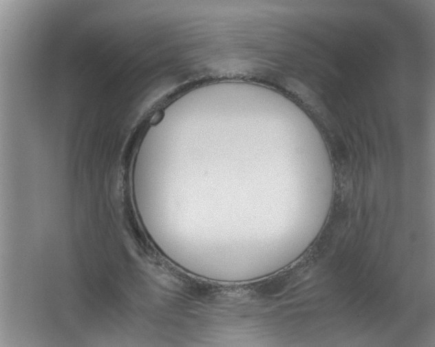 X0000062930583200601271834