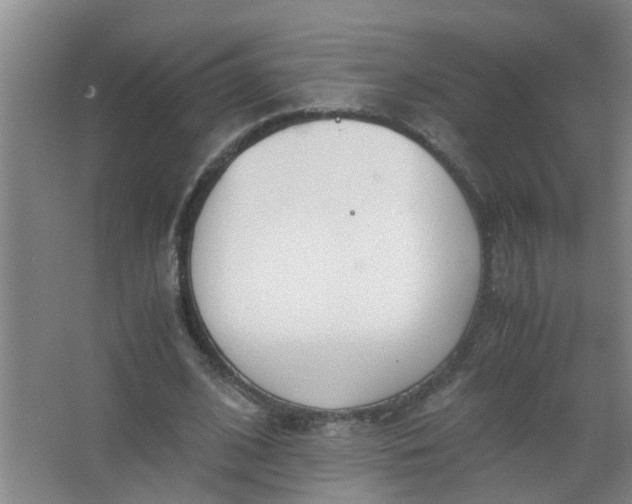 X0000062930584200601271834