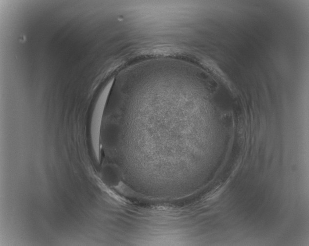 X0000062930585200601271834