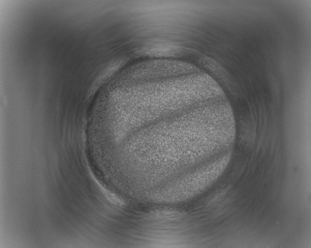 X0000062930586200601271834