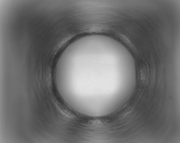 X0000062930588200601271834