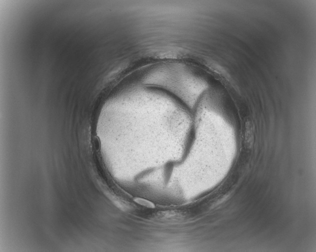 X0000062930589200601271834