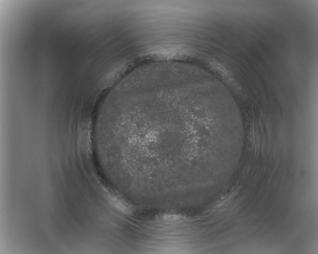 X0000062930590200601271834