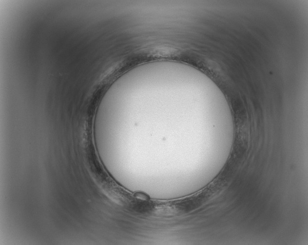 X0000062930591200601271834