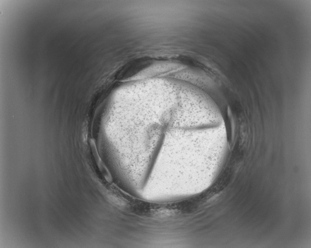 X0000062930593200601271834