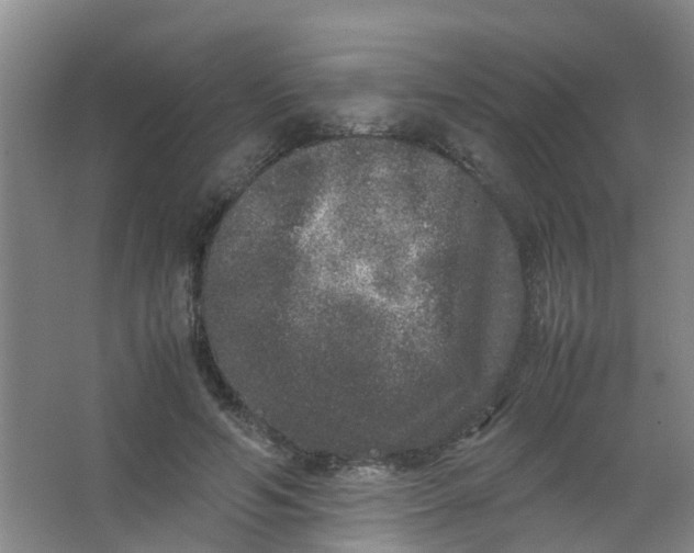 X0000062930594200601271834